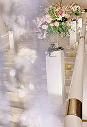 Intercontinental HK wedding / 香港洲際酒店婚禮